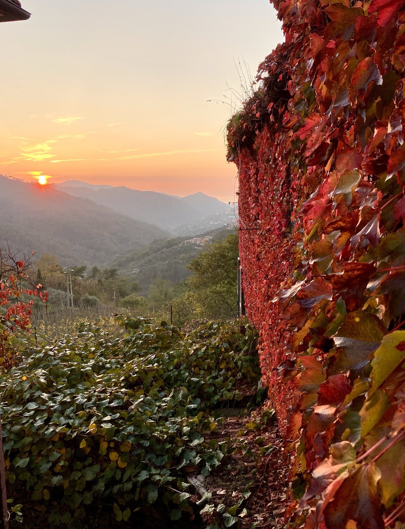 Velva Tramonto